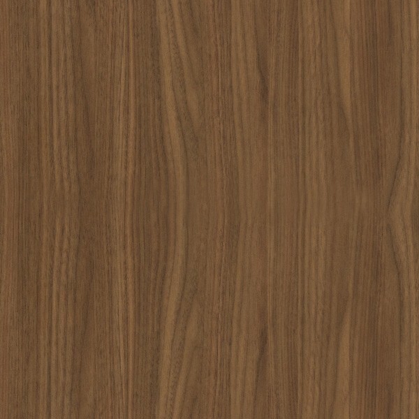 Black Walnut